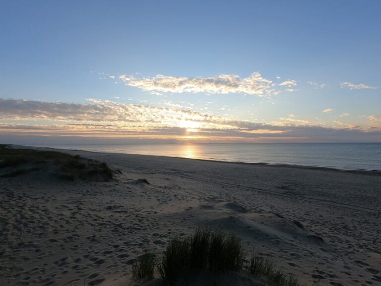 Qual a melhor época para comprar geladeira?